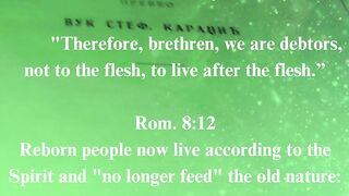 The Gospel according to John 86