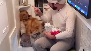 My dog ruined Christmas!