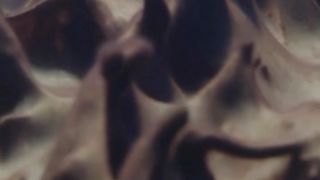 These Fossils are ALIVE! ???? #FrozenPlanet2