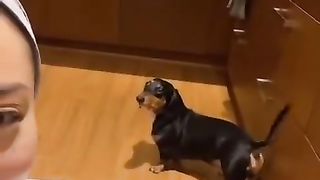 Having a convo with my dog be like... ???? #shorts