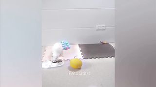 пхахахааххахахахаха