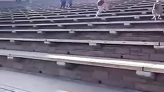 Funny animals - Funny cats dogs - Funny animal videos 32.