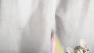 Бенгалка ф1 от АЛК . Мари!