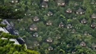 Video31