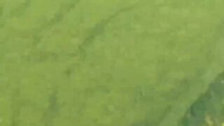 Scuba Diver Finds Possible Murder Weapon Underwater!