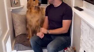 My dog made a huge upgrade to his house!