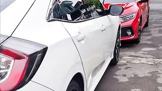 Civic lovers