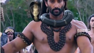 Narayan's Kurma Avatar