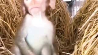 When I got up for work and forgot to wake up