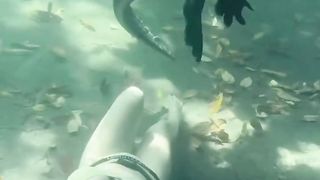 Swimming underwater with a Giant Alligator!