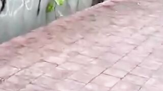 FUNNY