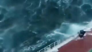 STORM AT SEA.