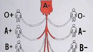 which blood groups can give blood