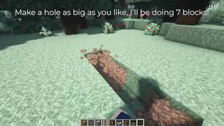Fully auto sweet berry farm Minecraft!