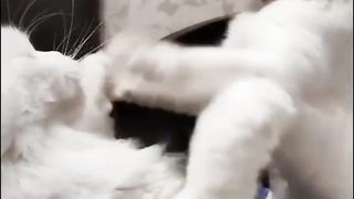 Для хорошего настроения