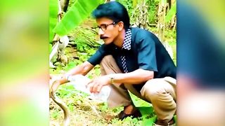 Animals That Asked People for Help & Kindness !
