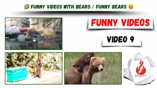 Funny videos / Funny videos with bears / funny bears