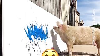 Un petit cochon qui aime peindre