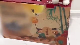 Super funny cats videos