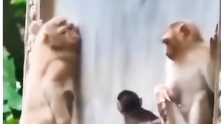 Funny video Retire fauji qabal  Nojavanon ko naukari se farak karne ke bad apni jagah banate hue