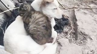 Best friends
