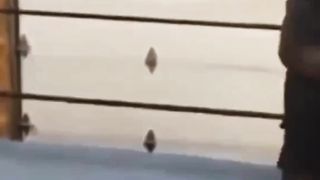 funny videos of Pja