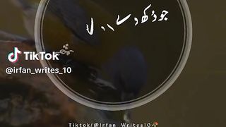 Hazrat Ali quotes in Urdu