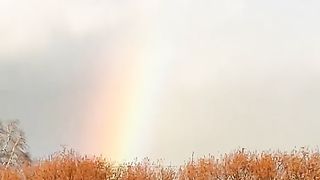 Радуга Regenbogen Rainbow