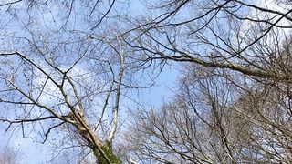 "Untouched Utopia: Nature's Hidden Paradise Revealed"