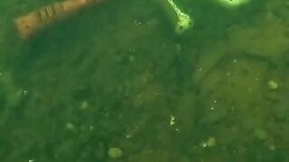 Found Fortnite Gun Underwater While Scuba Diving!