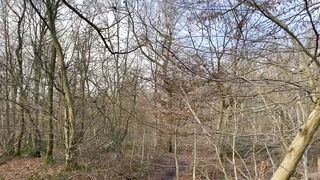 "Nature's Poetry: Cinematic Sonnets of the Untouched Landscape"