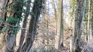 "Harmony Unveiled: Cinematic Overture to Nature's Grand Tapestry"