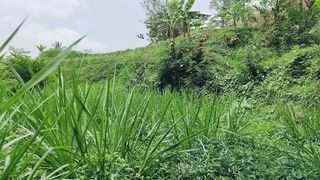 Неэлектрический водяной насос высокого давления