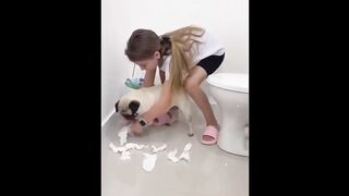 New Funny Animals Funniest Cats and Dogs Videos part 2