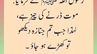 اسلامی معلومات Like share follow