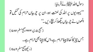 اسلامی معلومات Like share follow