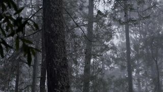 Raining