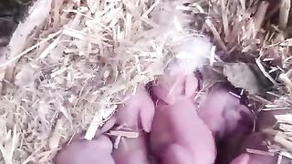 CUSTOMER IS UPDATING ABOUT THE BUNNIES
