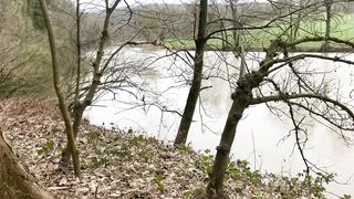 "Visions of Verdure: A Cinematic Voyage into Nature's Realm"