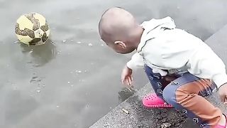 funny videos of Pja