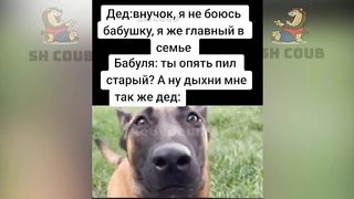 Я РЖАЛ ДО СЛЕЗ ????30 Минут смеха 2024