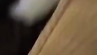 ???? Самые классные котята в мире-