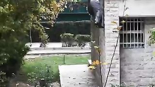 Funny Win