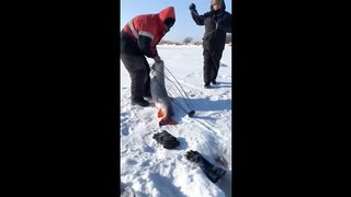 Подборка случаев на рыбалке 2024