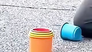 Burung Pintar & Terlatih