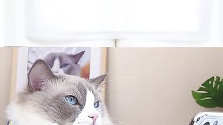 The adorable line from last autumn