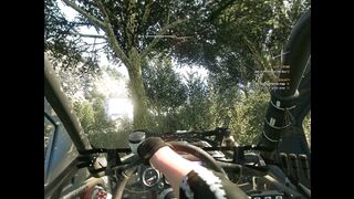 Dying light the following