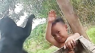 Cat cute