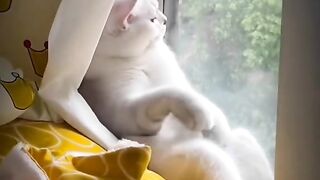 Lagi galau nih