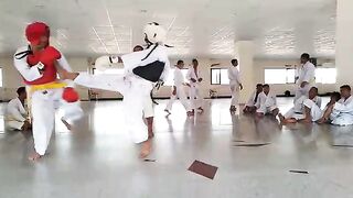 Randori shorinji kempo Lion
